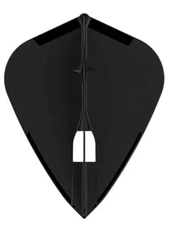 L-Style Flight - Kite