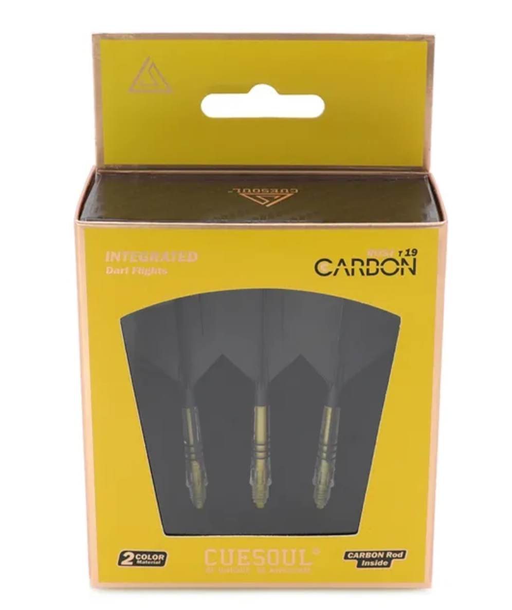 Cuesoul Carbon T19 -- Big Wing